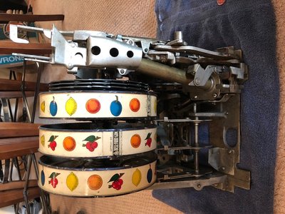 image7 (1).jpeg