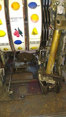 IMG_20191105_145328.jpg
