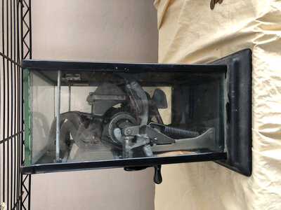 IMG_8781.jpeg