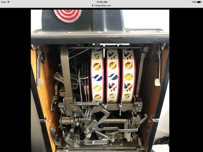 IMG_4036.PNG
