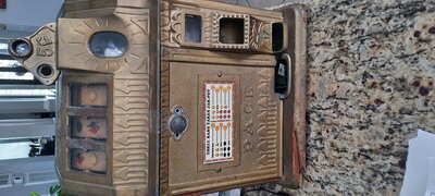 20210618_095228.jpg