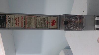 20200406_171727.jpg
