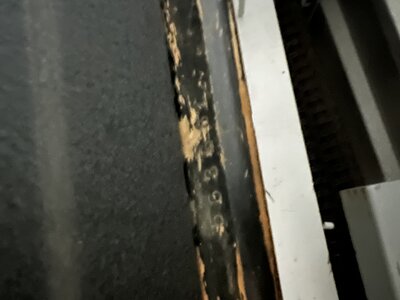 034B0421-D7AA-4893-895D-17C1422176C2.jpeg