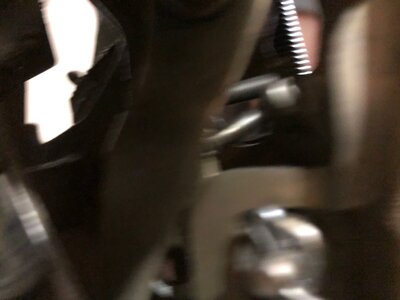 IMG_1162.jpg