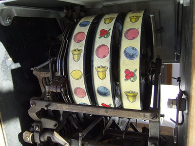 24 Reels Closeup 3 Reels DSCF7062.JPG