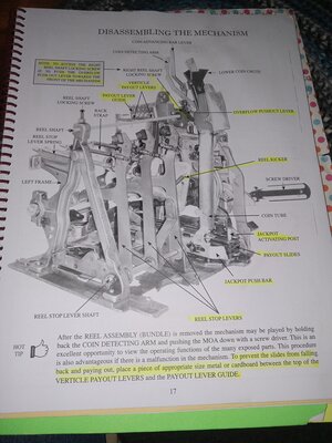 page 17.jpg