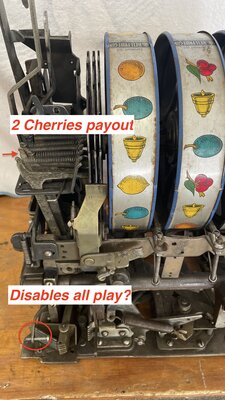 2 cherries rear view.jpg