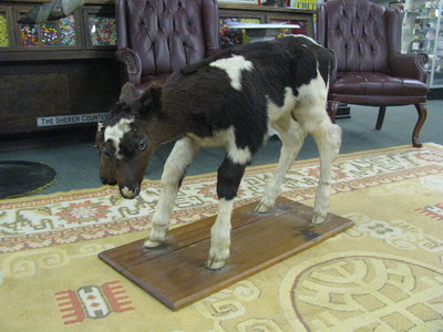 001.JPG