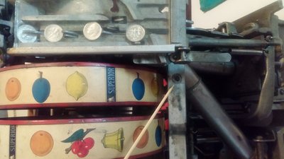 20160803_083448.jpg