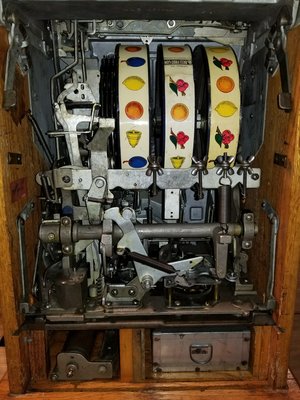 20170708_184727_resized.jpg